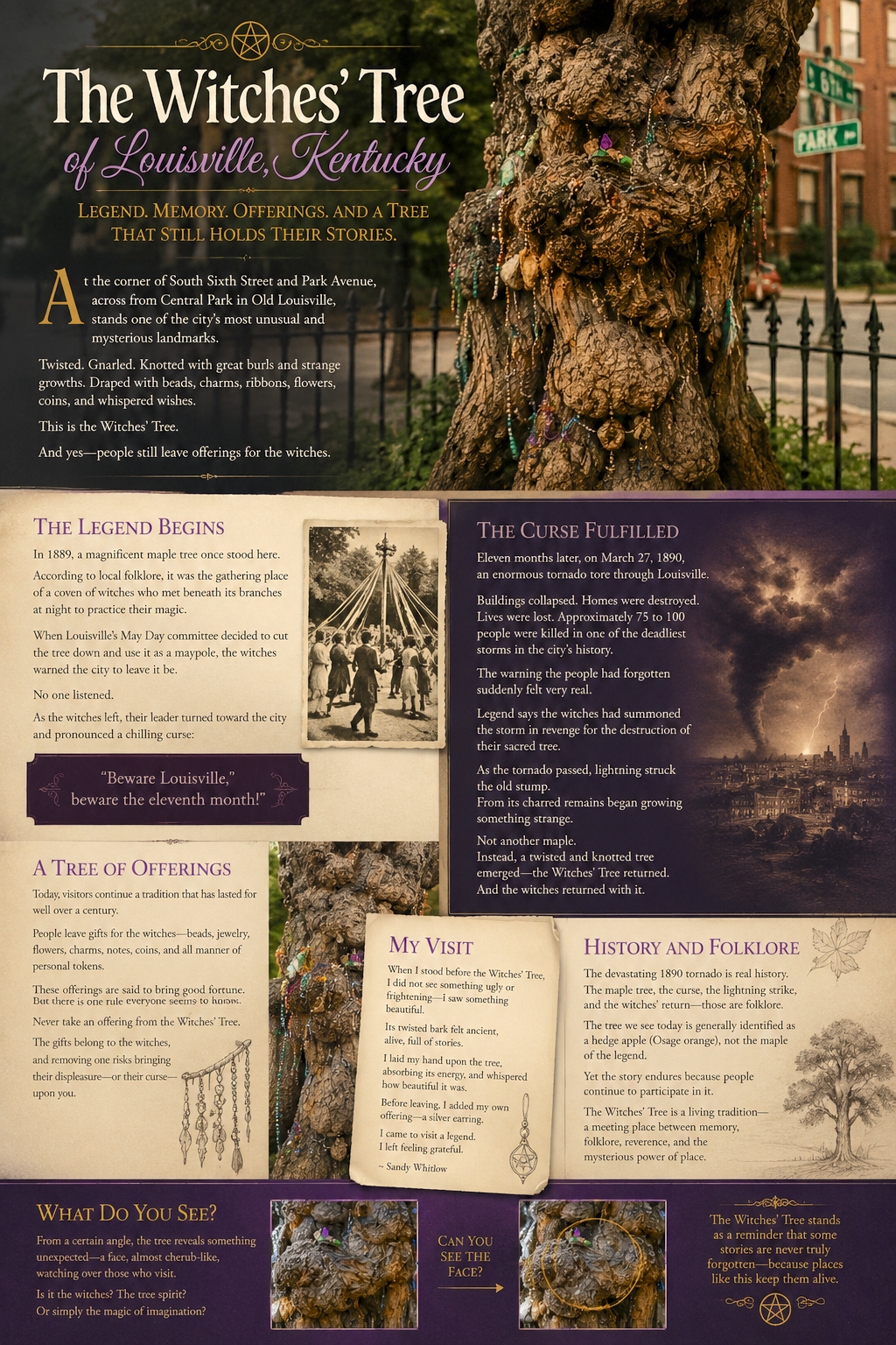 The Witches’ Tree of Louisville: A Curse, a Tornado, and a Tree That Refused to Die